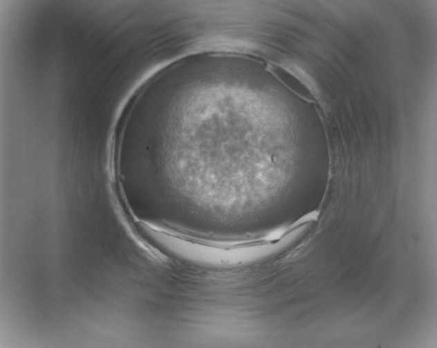 X0000068841128200605191918