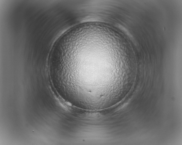 X0000068841129200605191918