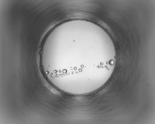 X0000068841130200605191918