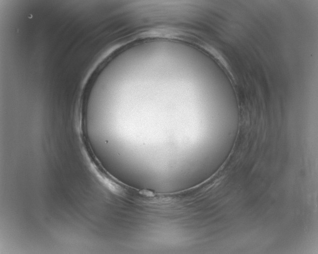 X0000068841131200605191918