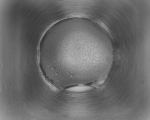 X0000068841132200605191918