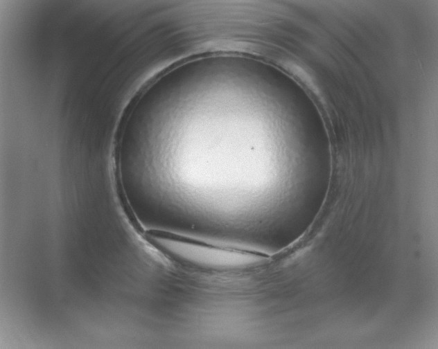 X0000068841133200605191918