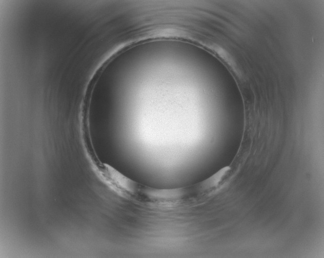 X0000068841134200605191919