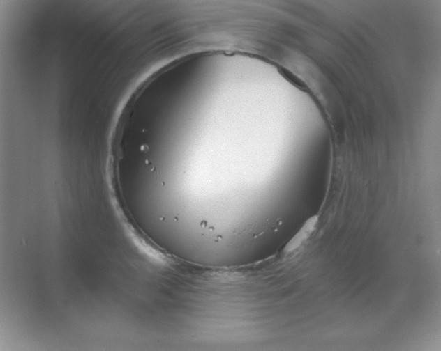 X0000068841136200605191919