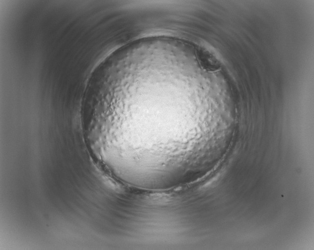 X0000068841137200605191919