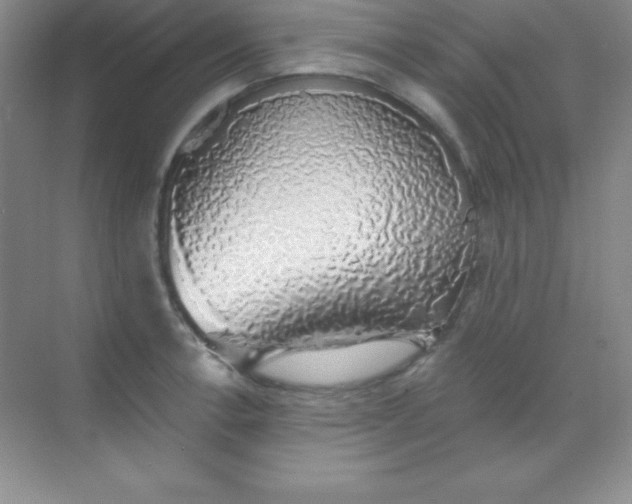 X0000068841138200605191919