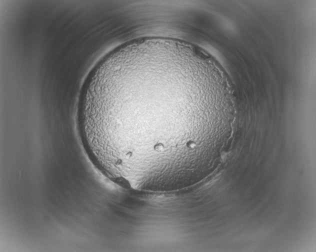 X0000068841139200605191919