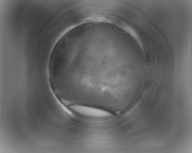 X0000068841141200605191919