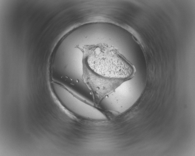 X0000068841142200605191919