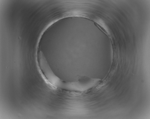 X0000068841144200605191919