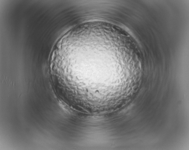 X0000068841145200605191919