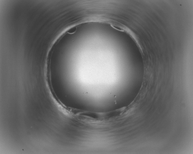 X0000068841147200605191919