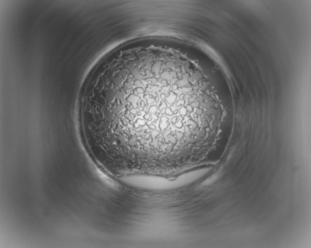 X0000068841149200605191919