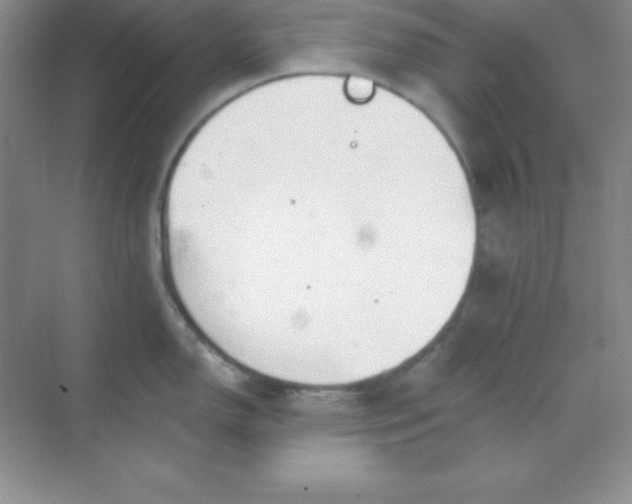 X0000068841150200605191919