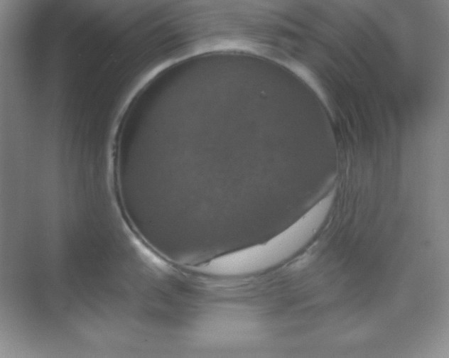 X0000068841151200605191919