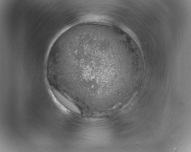 X0000068841152200605191919