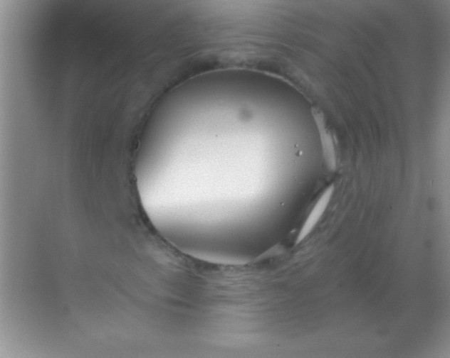 X0000068841153200605191918