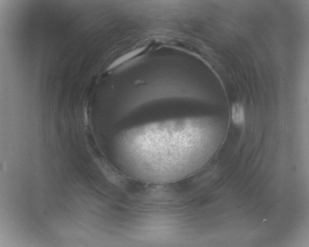 X0000068841155200605191918