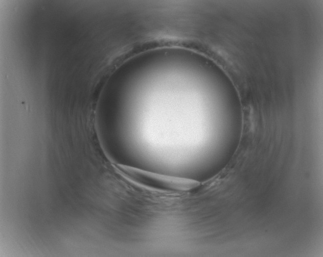 X0000068841157200605191918