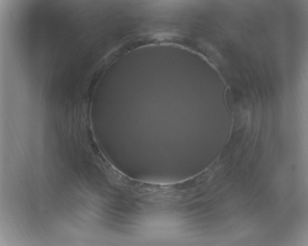 X0000068841158200605191918