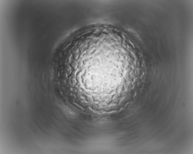 X0000068841159200605191918