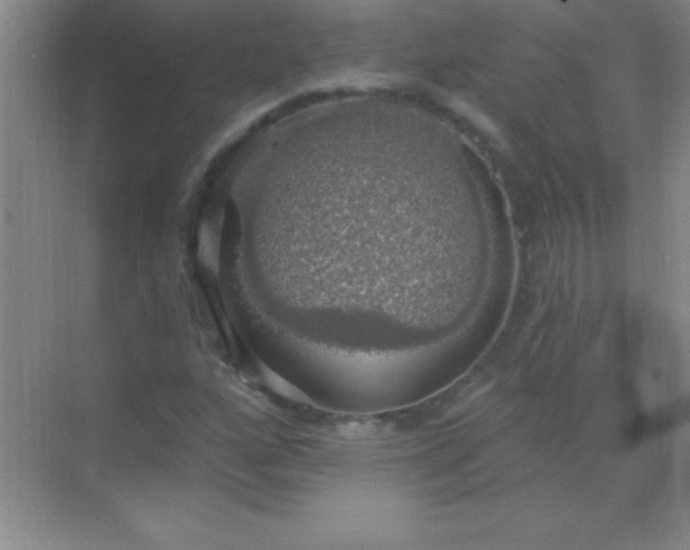 X0000068841160200605191918