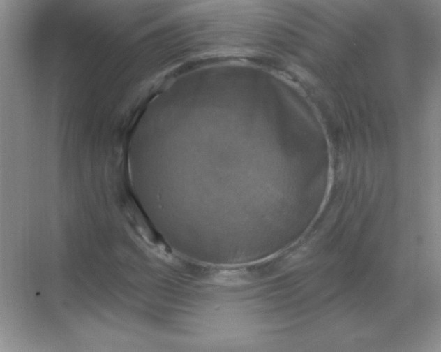 X0000068841161200605191918