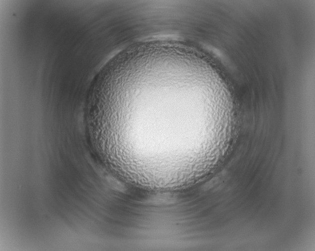 X0000068841162200605191918