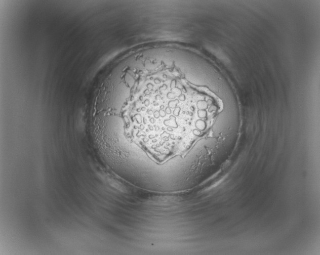 X0000068841163200605191918