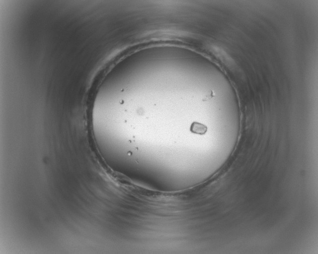 X0000068841164200605191918