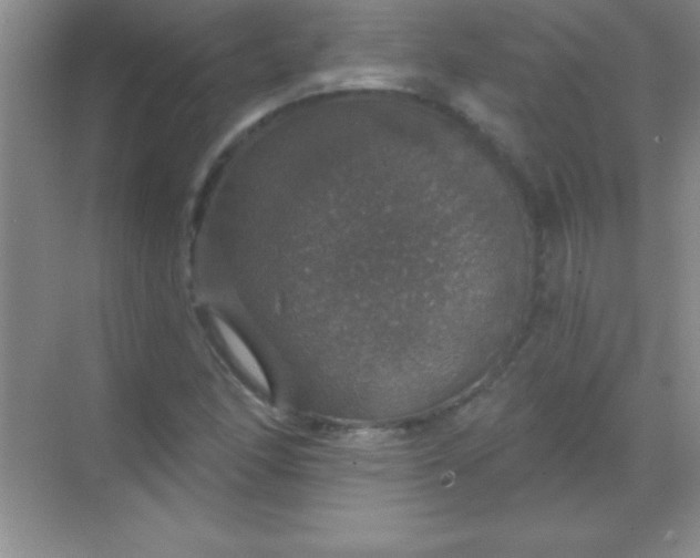 X0000068841166200605191918