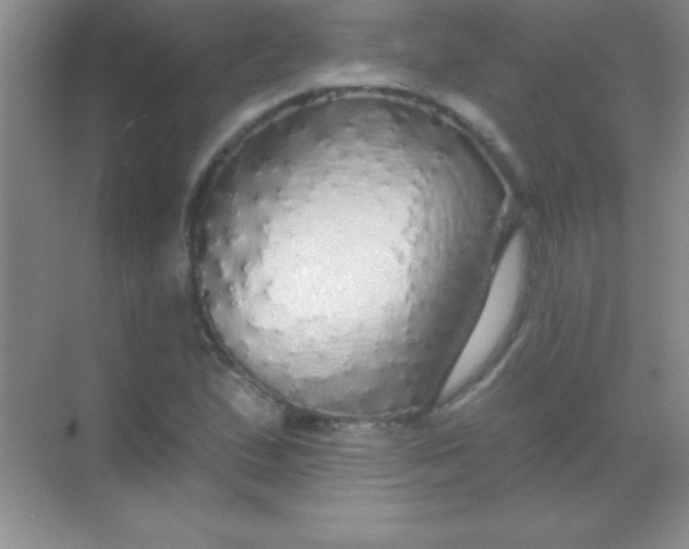 X0000068841167200605191918