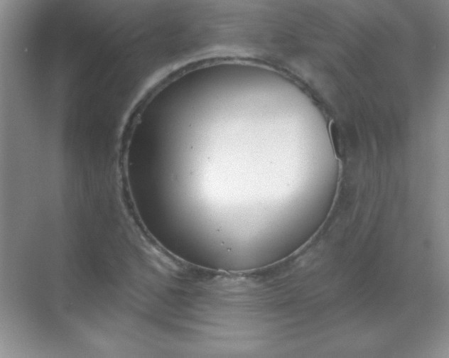 X0000068841168200605191918