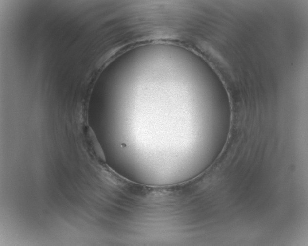 X0000068841169200605191918