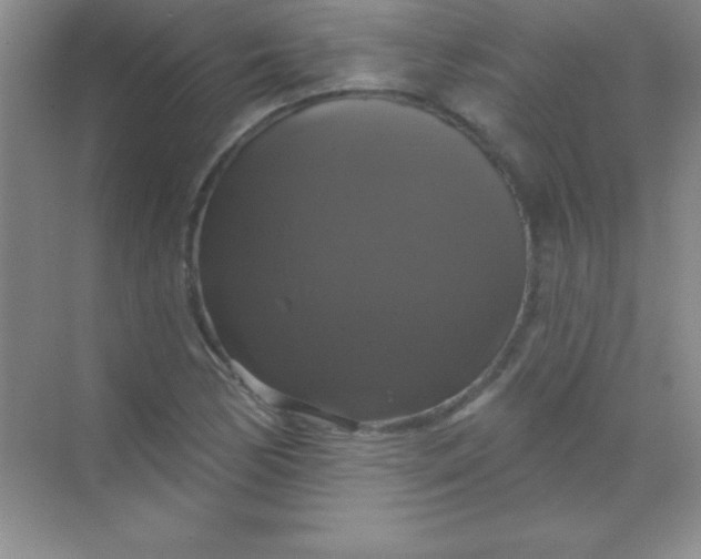 X0000068841170200605191918