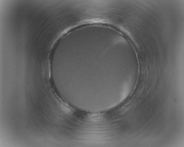 X0000068841171200605191918