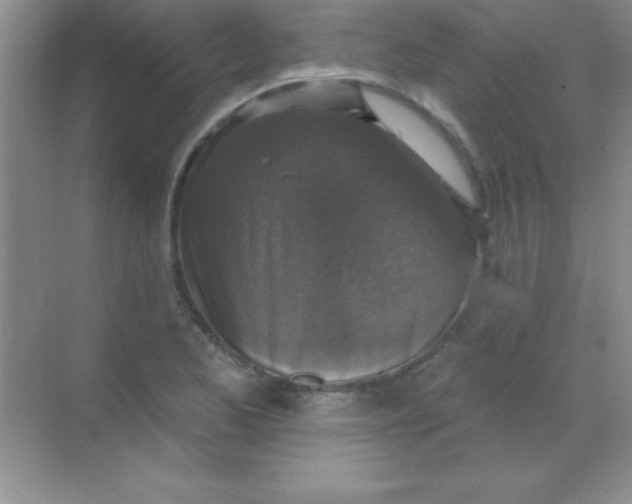 X0000068841173200605191918