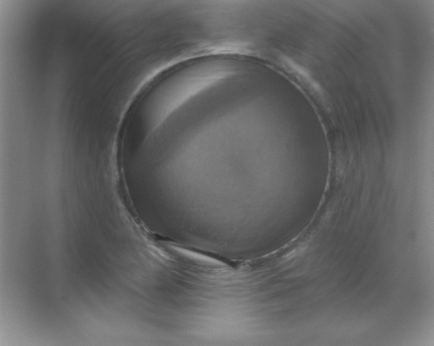 X0000068841174200605191918