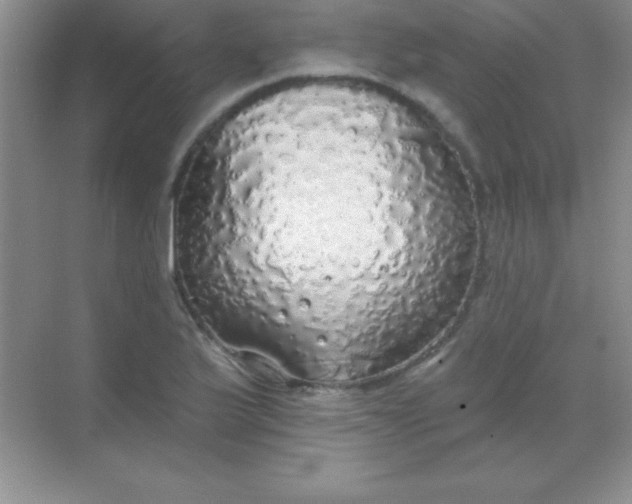 X0000068841175200605191918