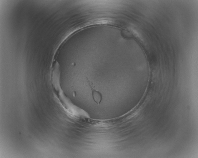 X0000068841178200605191918