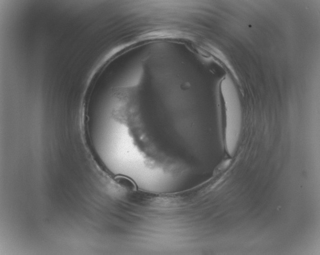 X0000068841179200605191918