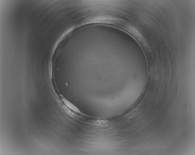 X0000068841180200605191918