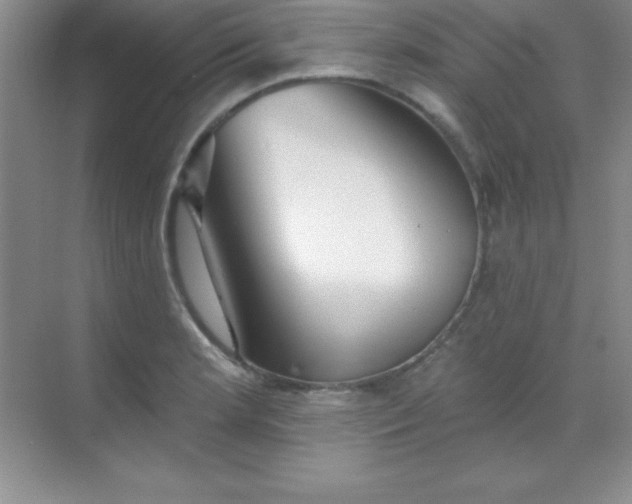 X0000068841181200605191918