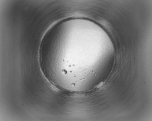 X0000068841183200605191917