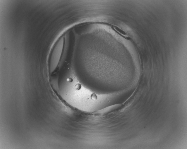 X0000068841184200605191917