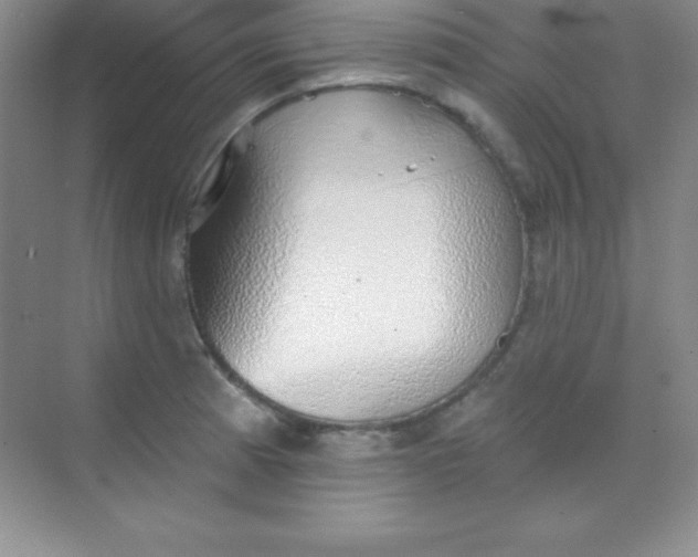 X0000068841185200605191917