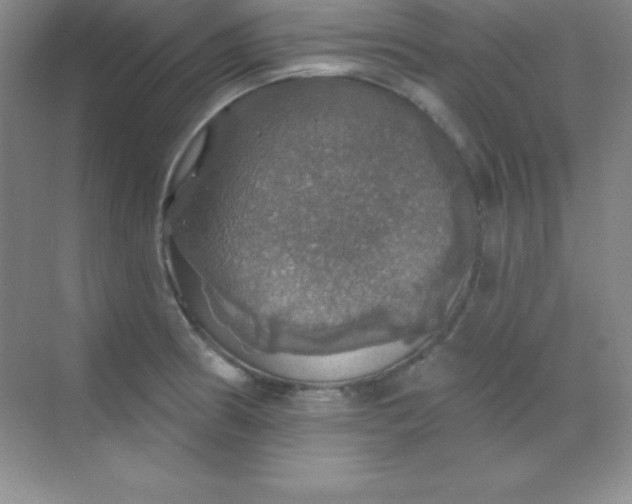 X0000068841186200605191917