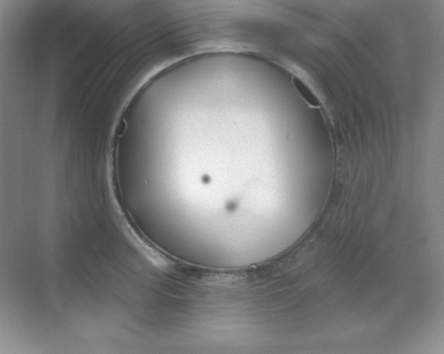 X0000068841187200605191917