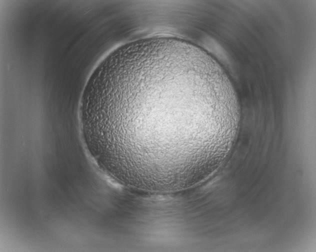 X0000068841190200605191917