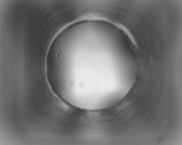 X0000068841191200605191917